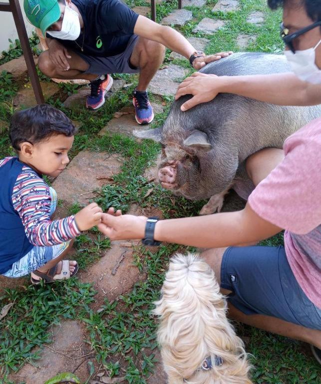 Aldeia Parque Pousada Rural São Roque Dış mekan fotoğraf