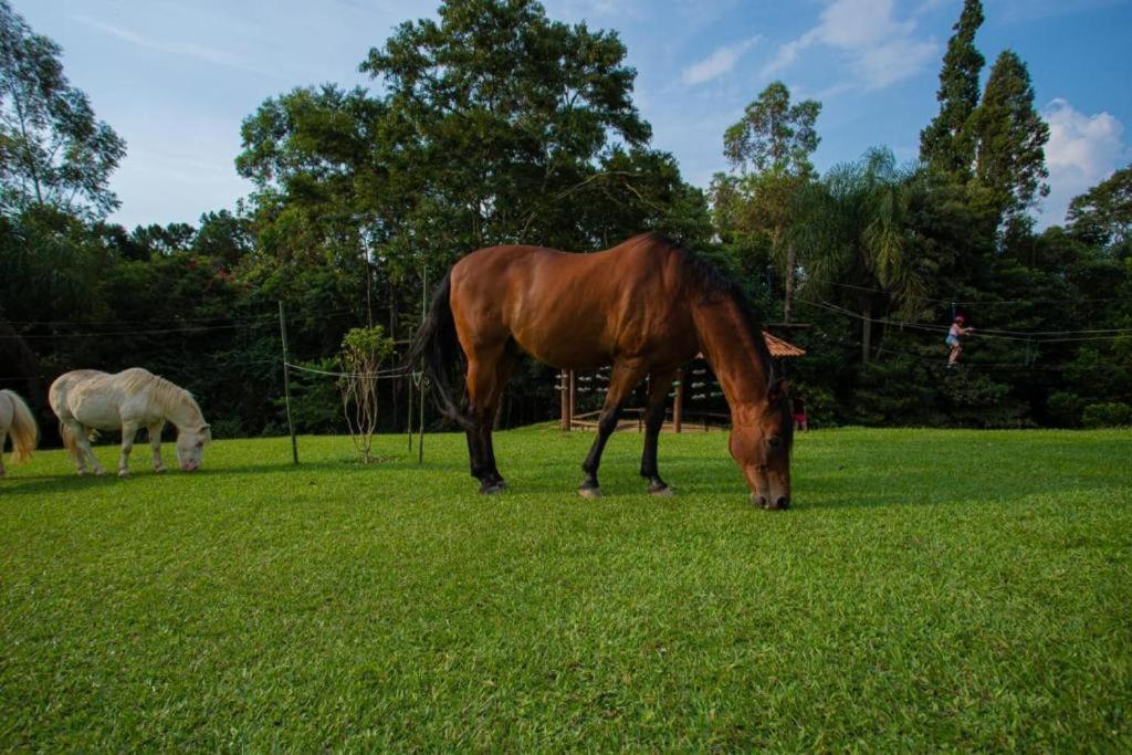 Aldeia Parque Pousada Rural São Roque Dış mekan fotoğraf