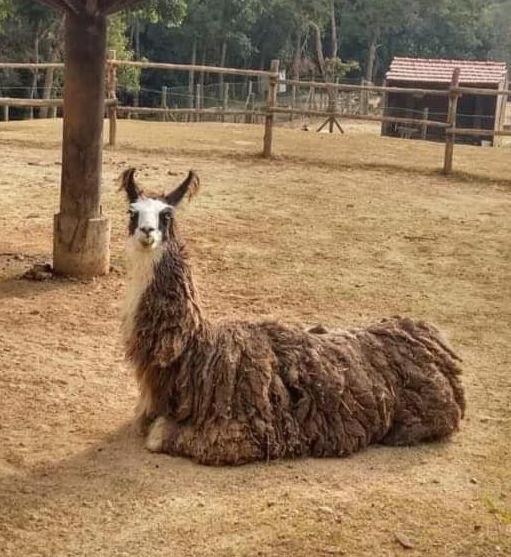 Aldeia Parque Pousada Rural São Roque Dış mekan fotoğraf