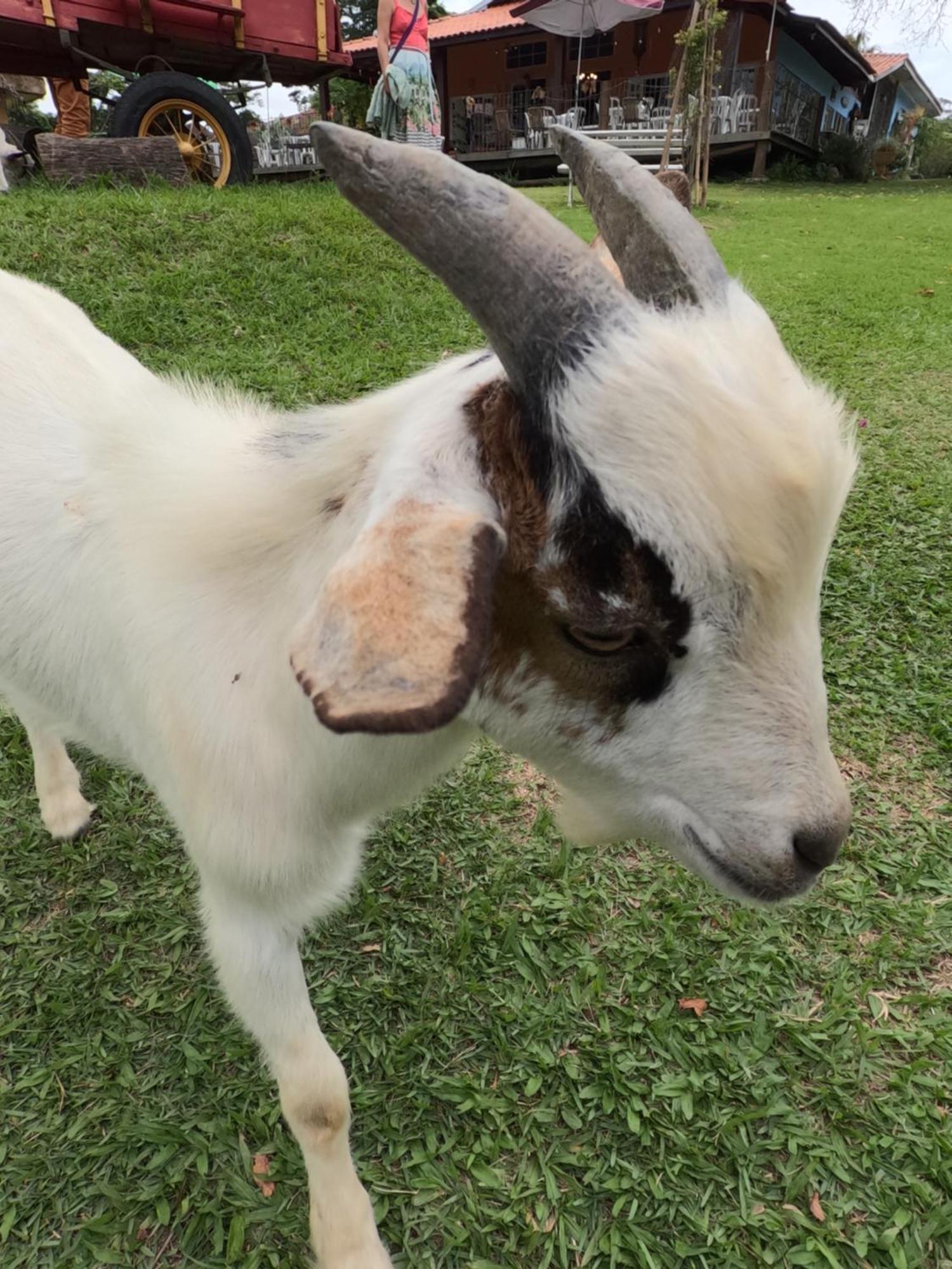 Aldeia Parque Pousada Rural São Roque Dış mekan fotoğraf