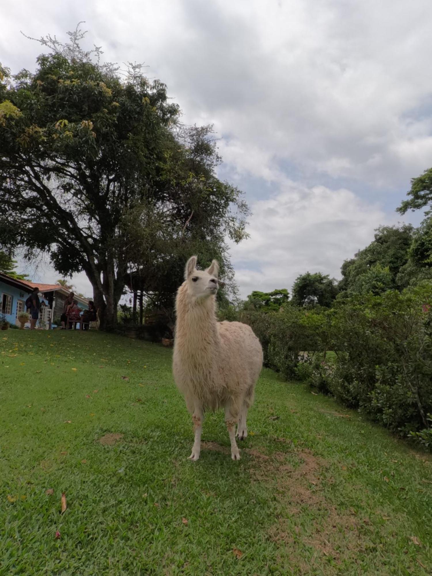 Aldeia Parque Pousada Rural São Roque Dış mekan fotoğraf