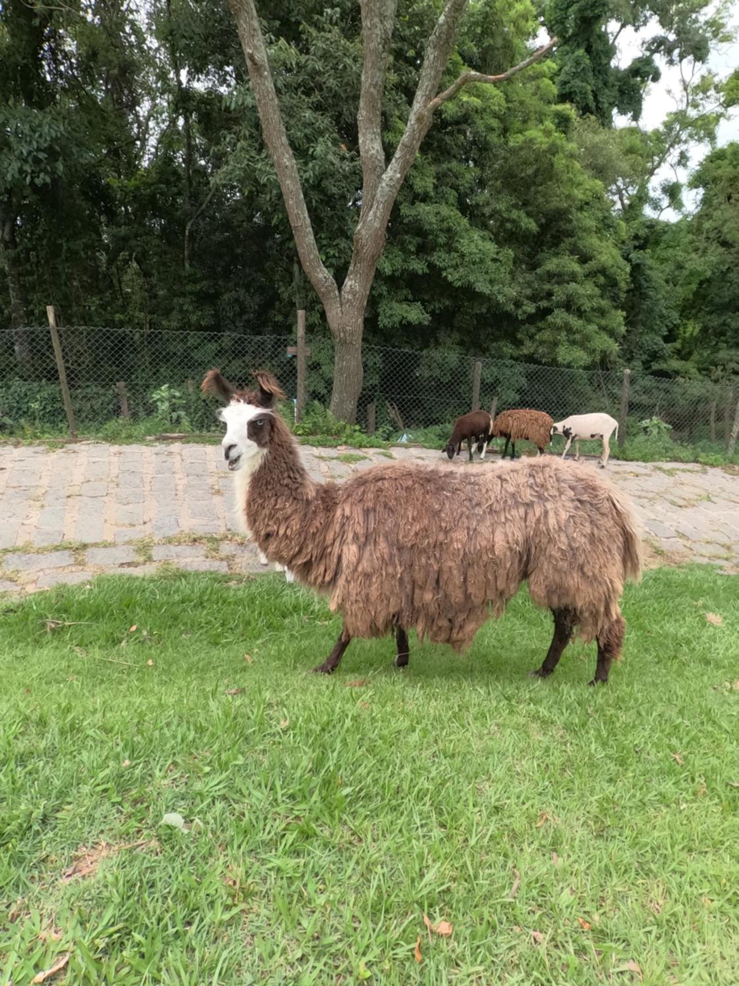 Aldeia Parque Pousada Rural São Roque Dış mekan fotoğraf